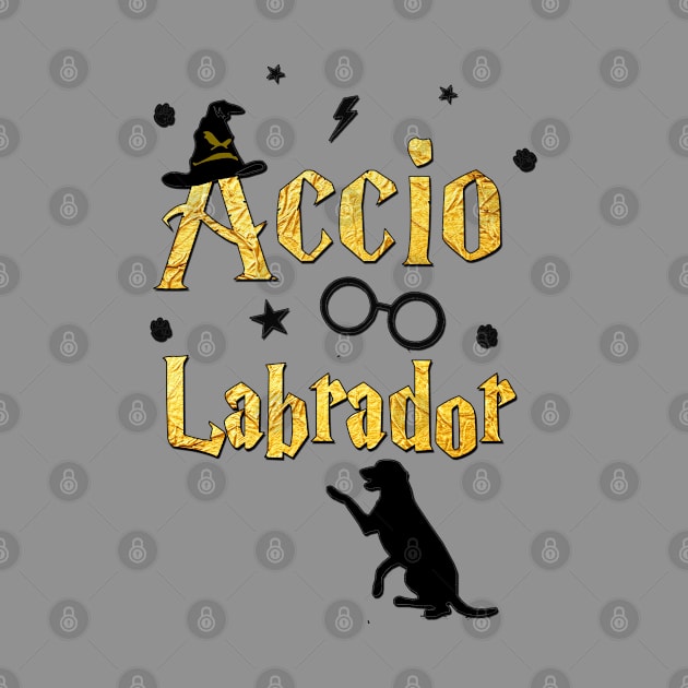 Accio Labrador Retriever by dogfather