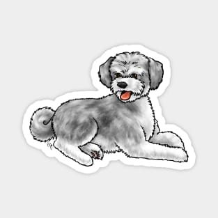 Dog - Aussiedoodle - Gray Magnet