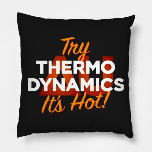 Thermodynamics Pillow