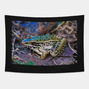 Backyard Frog (2) Tapestry