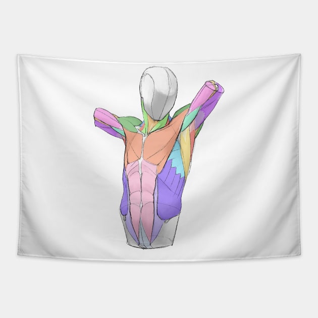 human body anatomy 5 Tapestry by katoanatomy