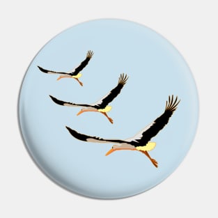 three beautiful storks Pin