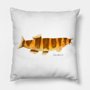 Kuhli Loach Fish Pillow