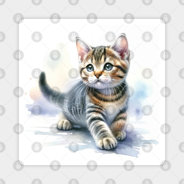 Domestic Shorthair Watercolor Kitten - Cute Kitties Magnet by Aquarelle Impressions