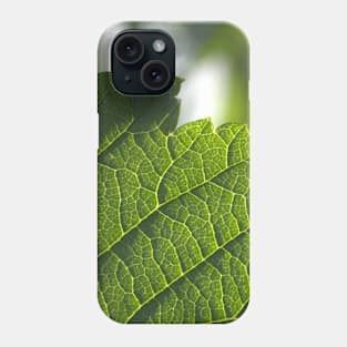 Leaf Photograph Phone Case