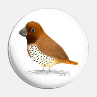 Spice Finch Bird Pin