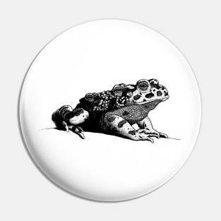 Toad Pin