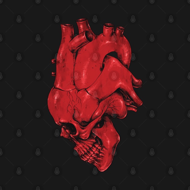 Skull of Heart by carbine