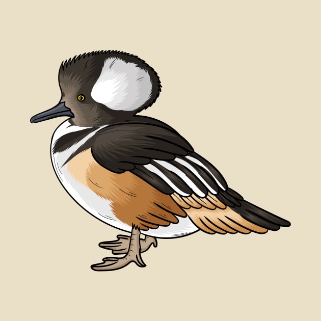 Hooded merganser bird cartoon illustration by Cartoons of fun