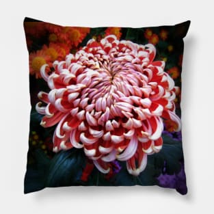 Dahlia Pillow