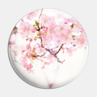 Cherry Blossom Japanese Flowers Photography Pin