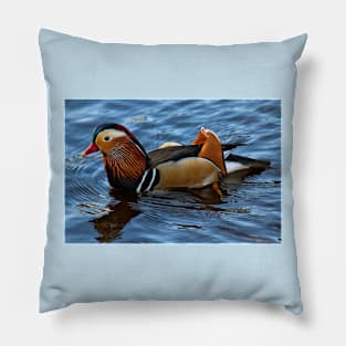 Mandarin Duck reflected in clear blue water Pillow