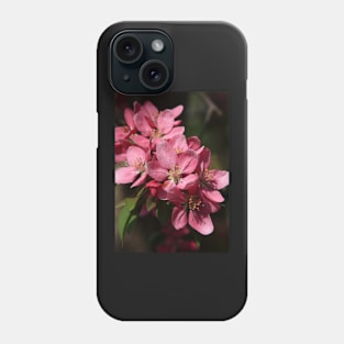 Crab Apple Blossoms Phone Case