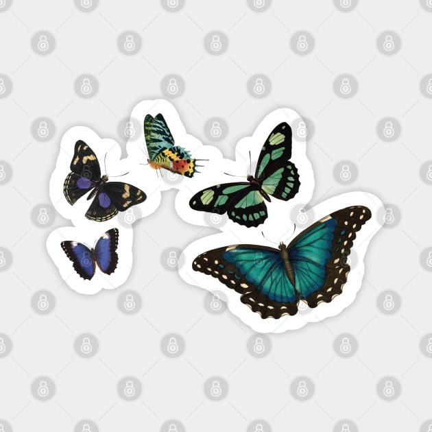 Blue Butterflies Magnet by uncommontee