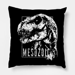 Mesozoic era Pillow