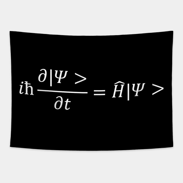 Schrodinger equation, quantum mechanics and physics Tapestry by NoetherSym