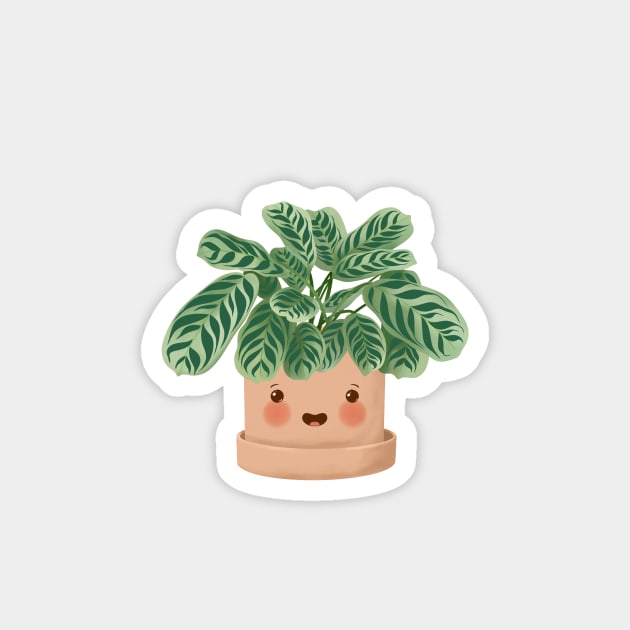 Cute Plant Illustration,  Calathea Burle-Marxii Amabilis 2 Magnet by gusstvaraonica