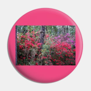 Beautiful Flowers In The Woods Pin