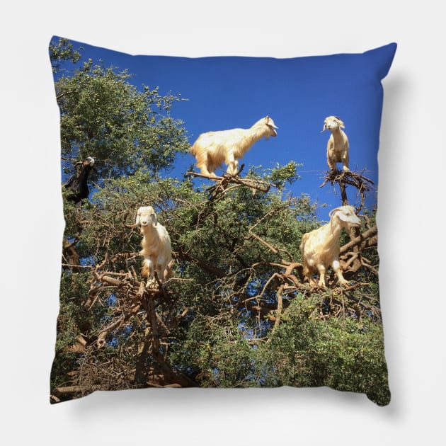 Goats in an argan tree Pillow by AHelene