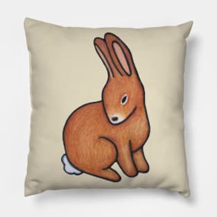 little bunny rabbit Pillow