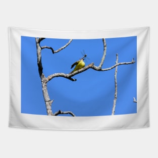 Couch's Kingbird - Dragonfly Tossing Tapestry