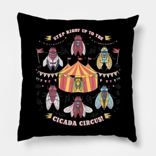 Cicadas Circus Festival, Cicada Lifecycle, Festival Pillow