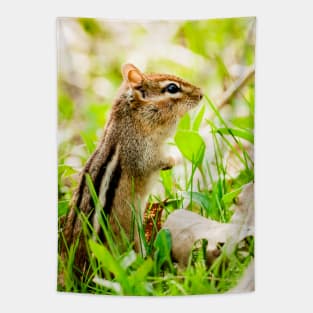 Curious Little Chipmunk in the Grass Photograph Tapestry