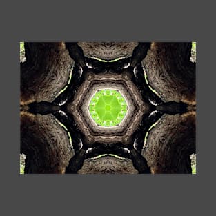 Contemporary kaleidoscope design T-Shirt