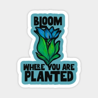 Bloom where you are planted Magnet