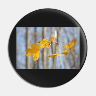 Maple Leaves Pin