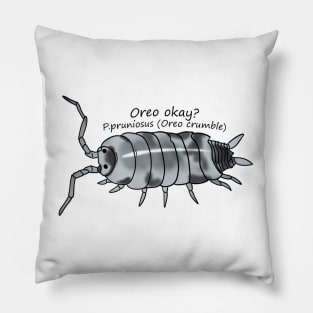 Oreo okay P.pruniosus (oreo crumble Pillow