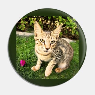 Smart Lovely Cat Pin