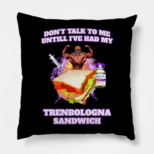 Trenbolone Sandwich Pillow