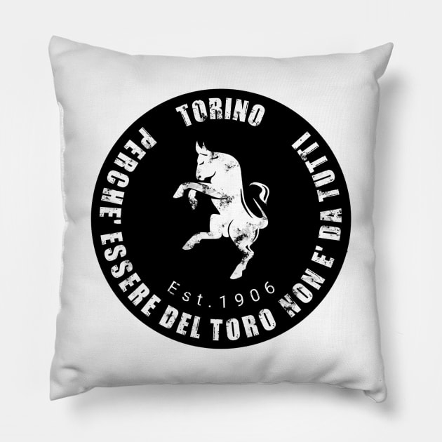 Trn Pillow by Aulian