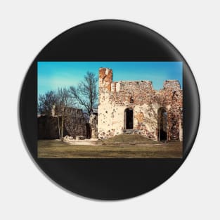 Ruins of medieval castle Pin