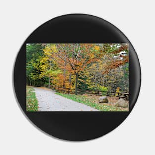 Road in the autumn Pin