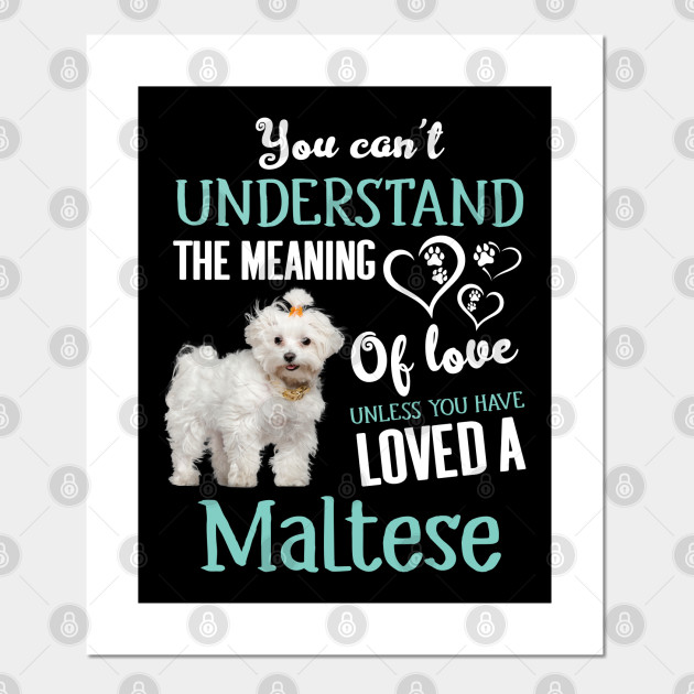 funny maltese phrases funny maltese phrases