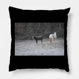 Wild Horse Foal Pillow