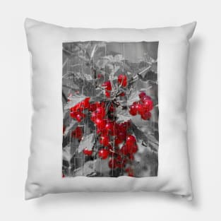 Redcurrant Pillow