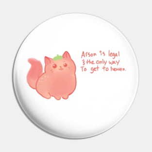 strawberry arson cat Pin