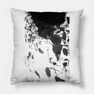 entropy and heredity Pillow