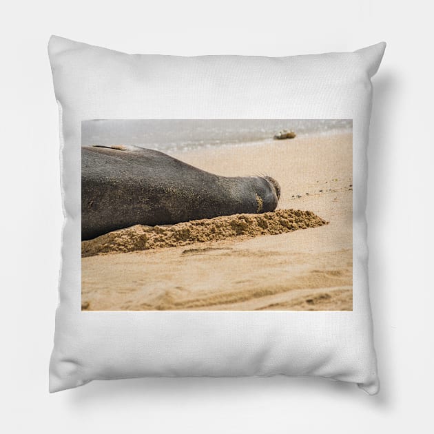 Dog that runs in rough Pillow by KensLensDesigns