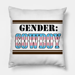 Gender: COWBOY - Trans Colors Pillow