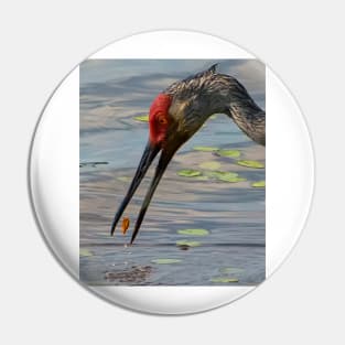 Feeding Sandhill Crane Pin