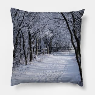 Gated Trail. Pillow