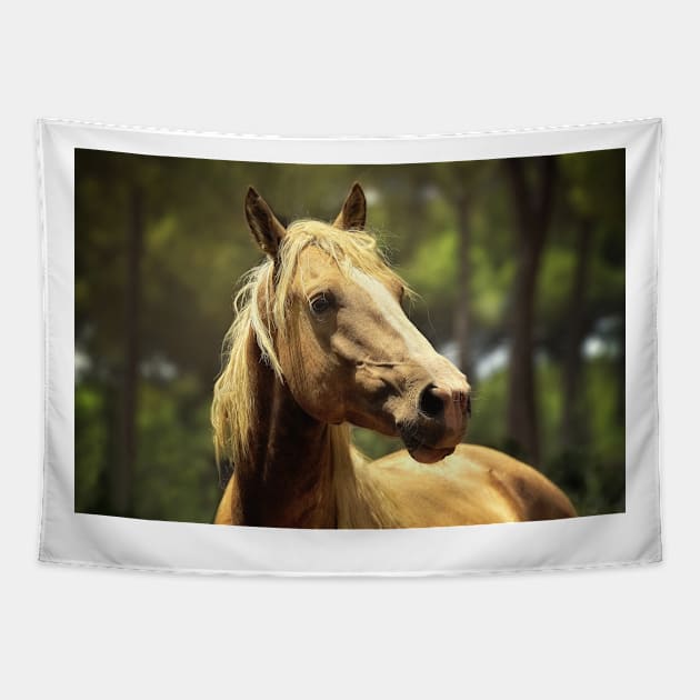 Horse in Sun Spot Tapestry by kawaii_shop