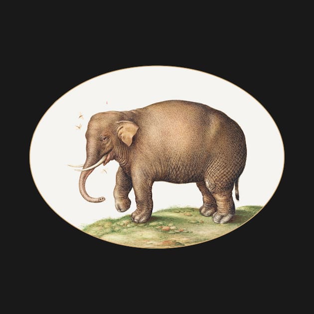 Elephant with Insects (1575–1580) by WAITE-SMITH VINTAGE ART