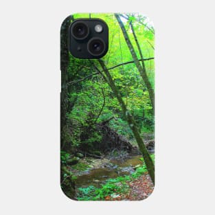 Scenery from Sarnano with the path to Cascata del Pellegrino with river, rocks, tree, trunks, greenery Phone Case
