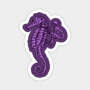 Seahorse Jockey Magnet