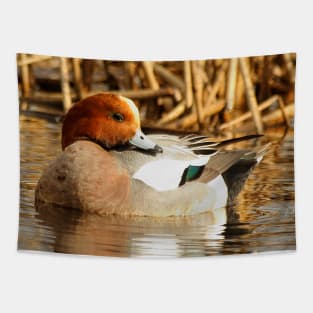 Eurasian Wigeon at the Pond Tapestry